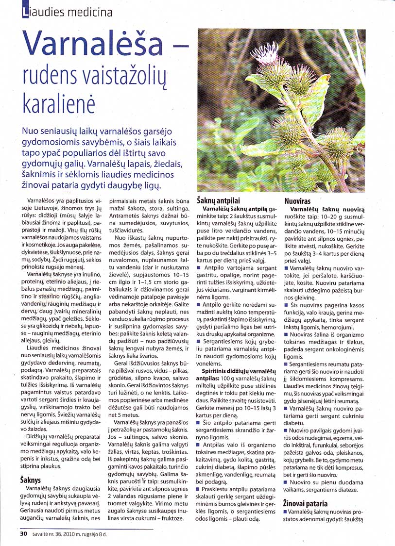 Paveikslėlis