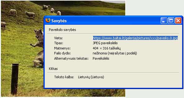 Paveikslėlis