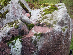 2010-10-30 Krievukalns 020