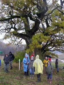 2010-10-30 Latvija016