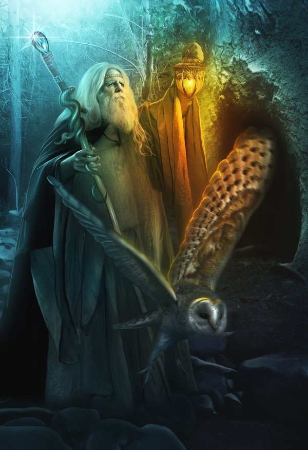 wizard_by_liliaosipova-d4kllbj