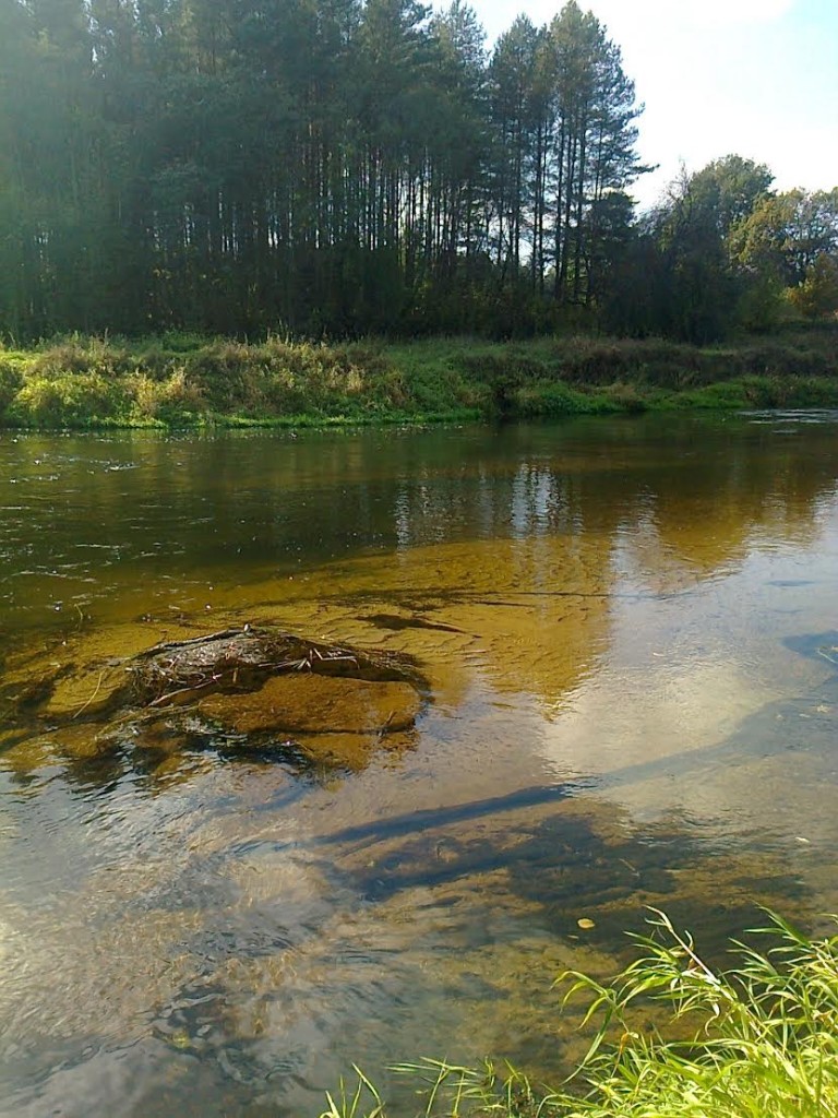 Šventoji link Anykščių. Aldonos Širvinskienės nuotr.