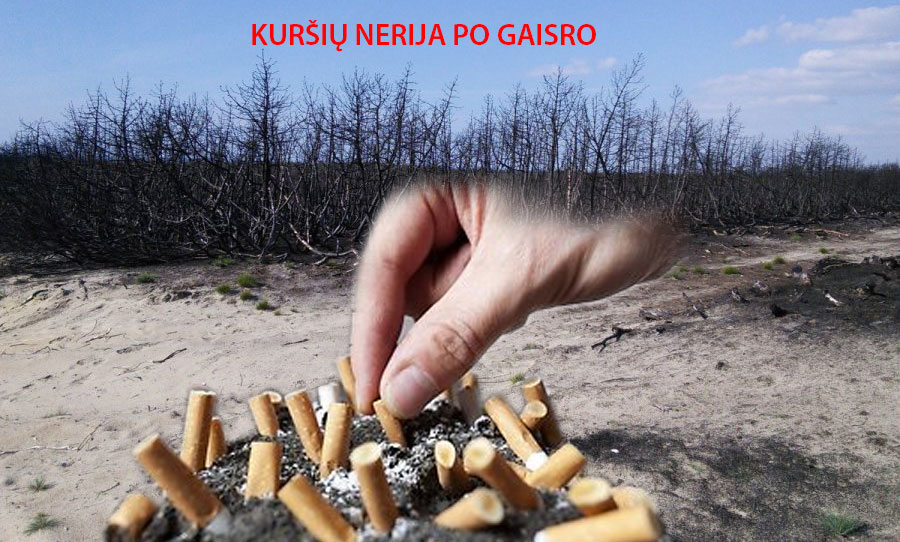 miskas-po-gaisro-smiltyneje