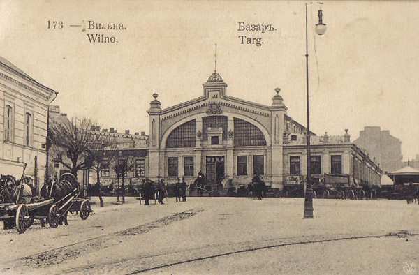 hales turgus