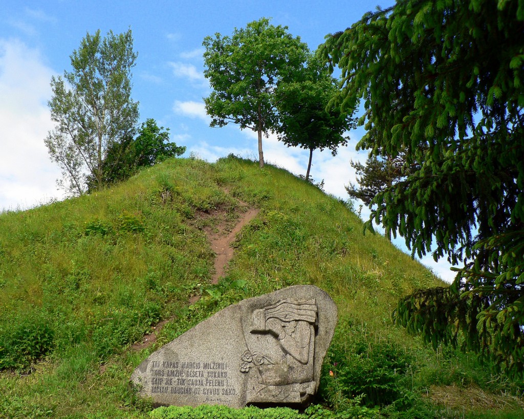 Punios piliakalnis (dar žinomas kaip Margio kalnas) – piliakalnis Alytaus rajone, šalia Punios kaimo, Nemuno dešiniajame krante, prie Punelės upelio žiočių. Įeina į Nemuno kilpų regioninį parką. Foto turistopasaulis.lt