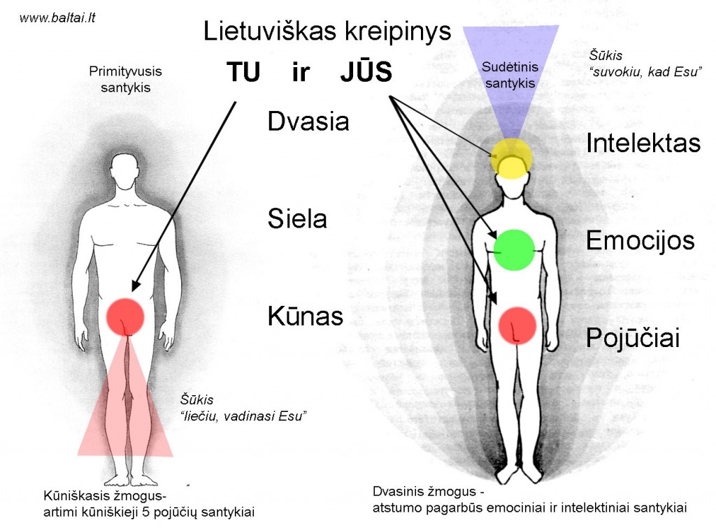 Baltai.lt iliustracija TU ir JUS