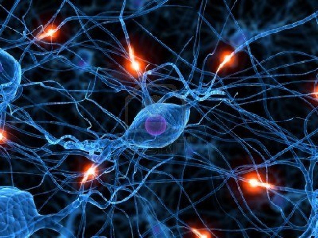 human-active-nerve-cell