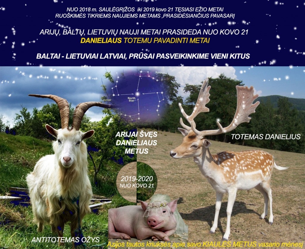 2019-Danieliaus-metai
