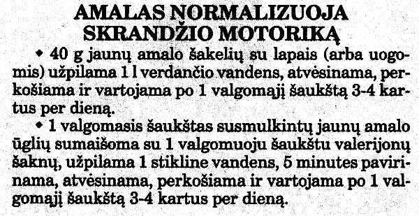 Paveikslėlis