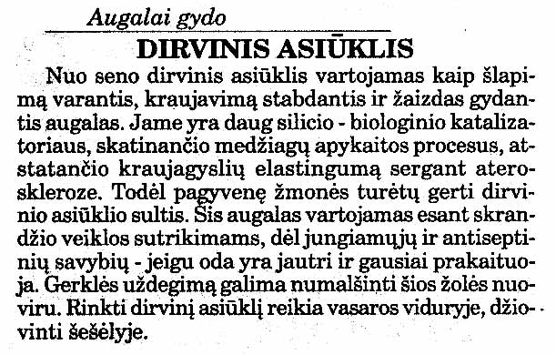 Paveikslėlis