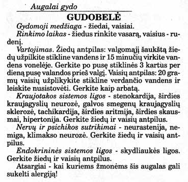 Paveikslėlis